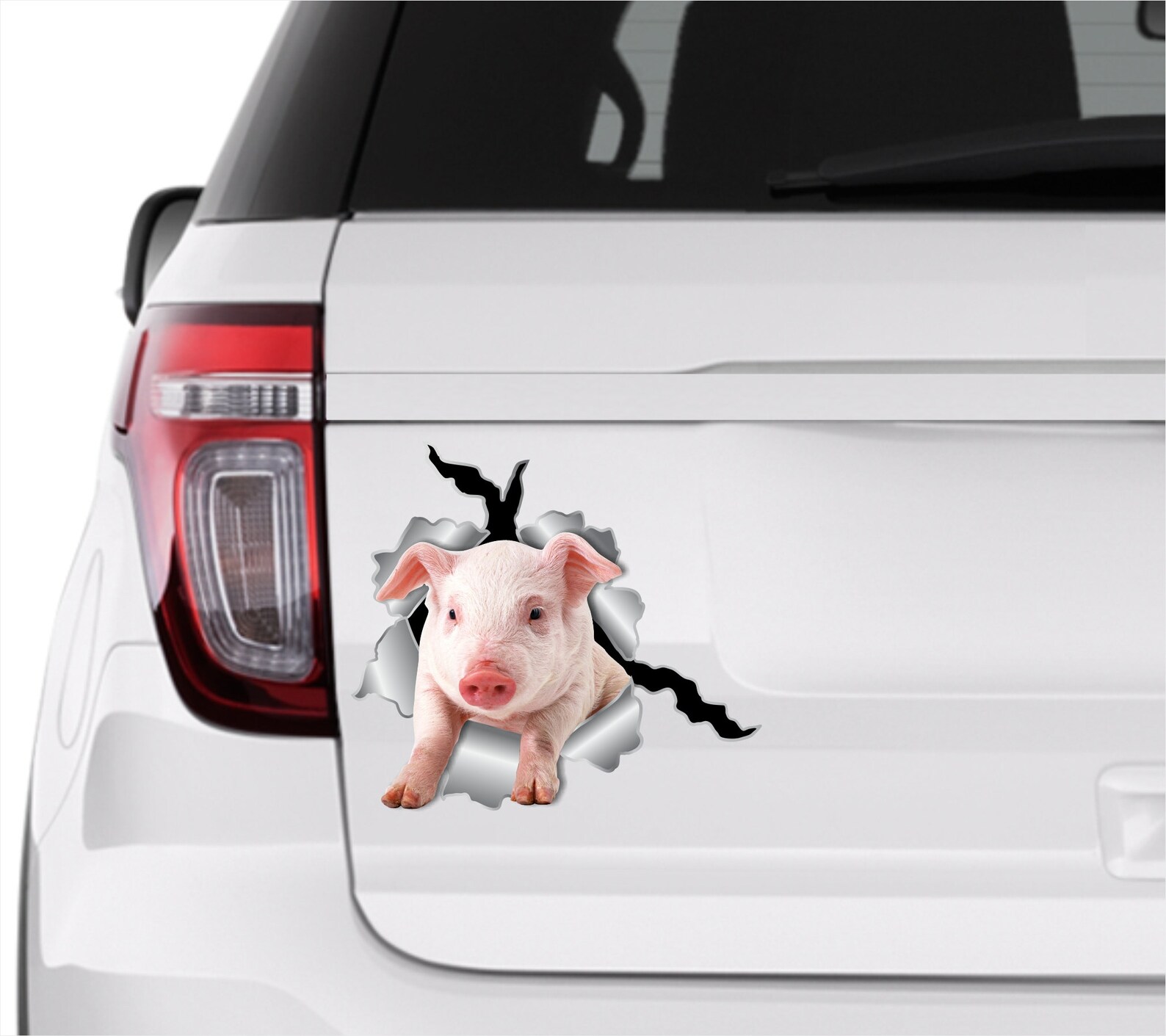 Car Sticker Pig Sticker Sticker Car Bumper Decal Pink Pig Etsy
