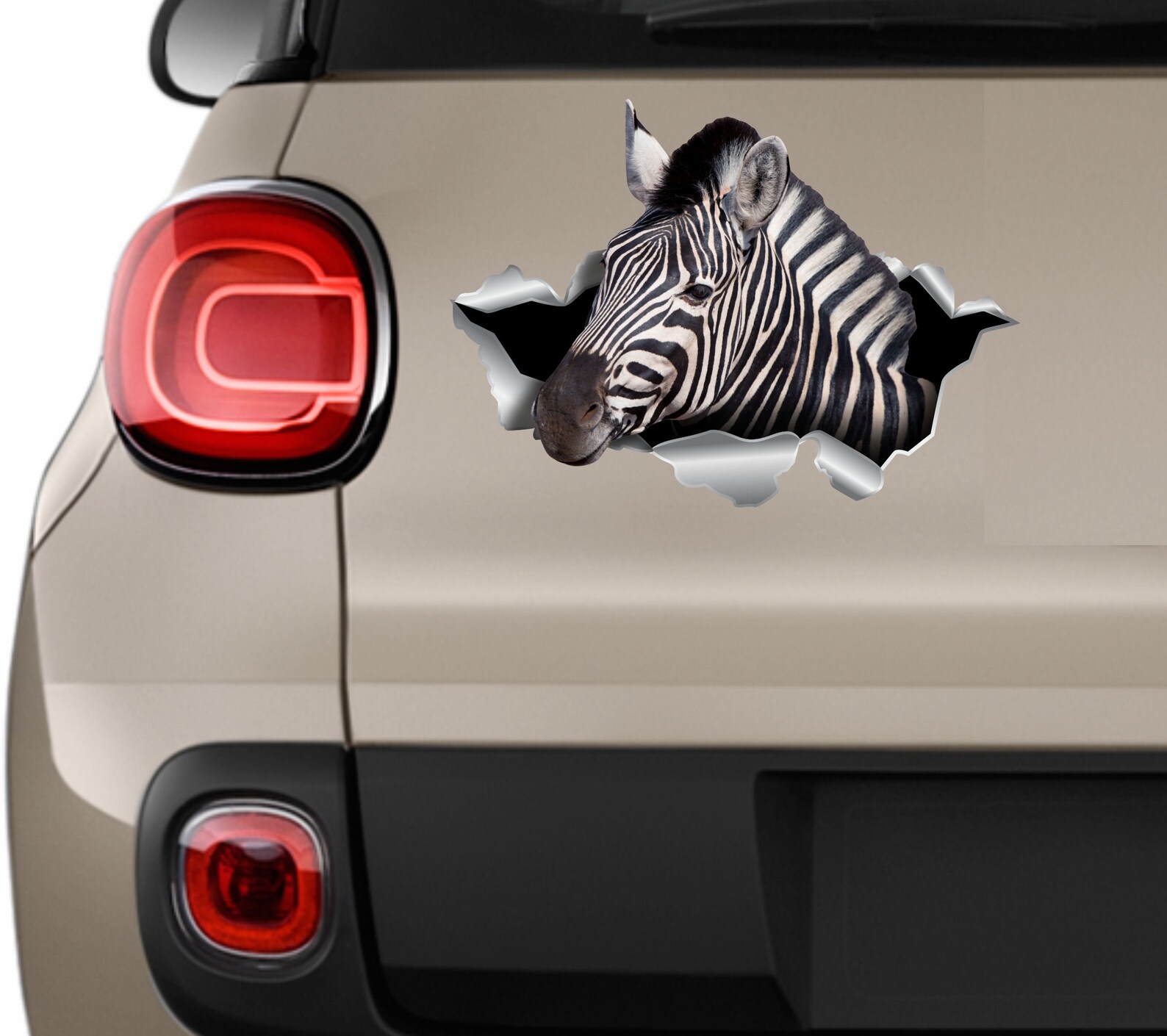 Zebra Sticker Zebra Car Sticker Zebra Auto Decal Animal Etsy