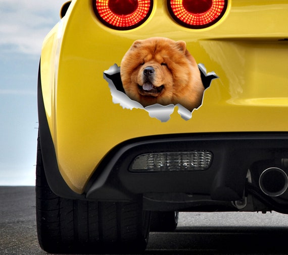  Car Decoration Dog,Chien de décoration de voiture