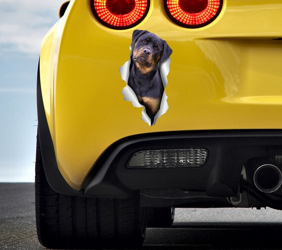 3D Hunde Autoaufkleber, Hundeautoaufkleber, Hundeaufkleber Auto, Hund an  Bord –