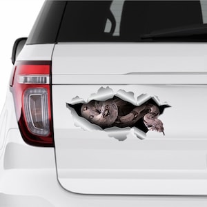 3D stickers Snake sticker Car sticker Rattlesnake sticker Python sticker Car decal Python sticker Reptile decal Car decal Car decoration 169