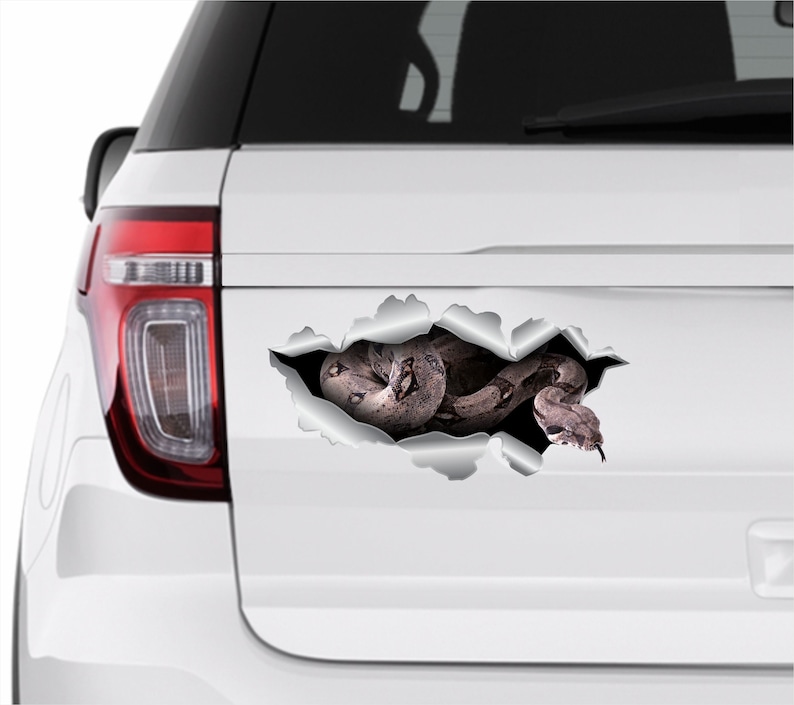 3D stickers Snake sticker Car sticker Rattlesnake sticker Python sticker Car decal Python sticker Reptile decal Car decal Car decoration 169 image 1