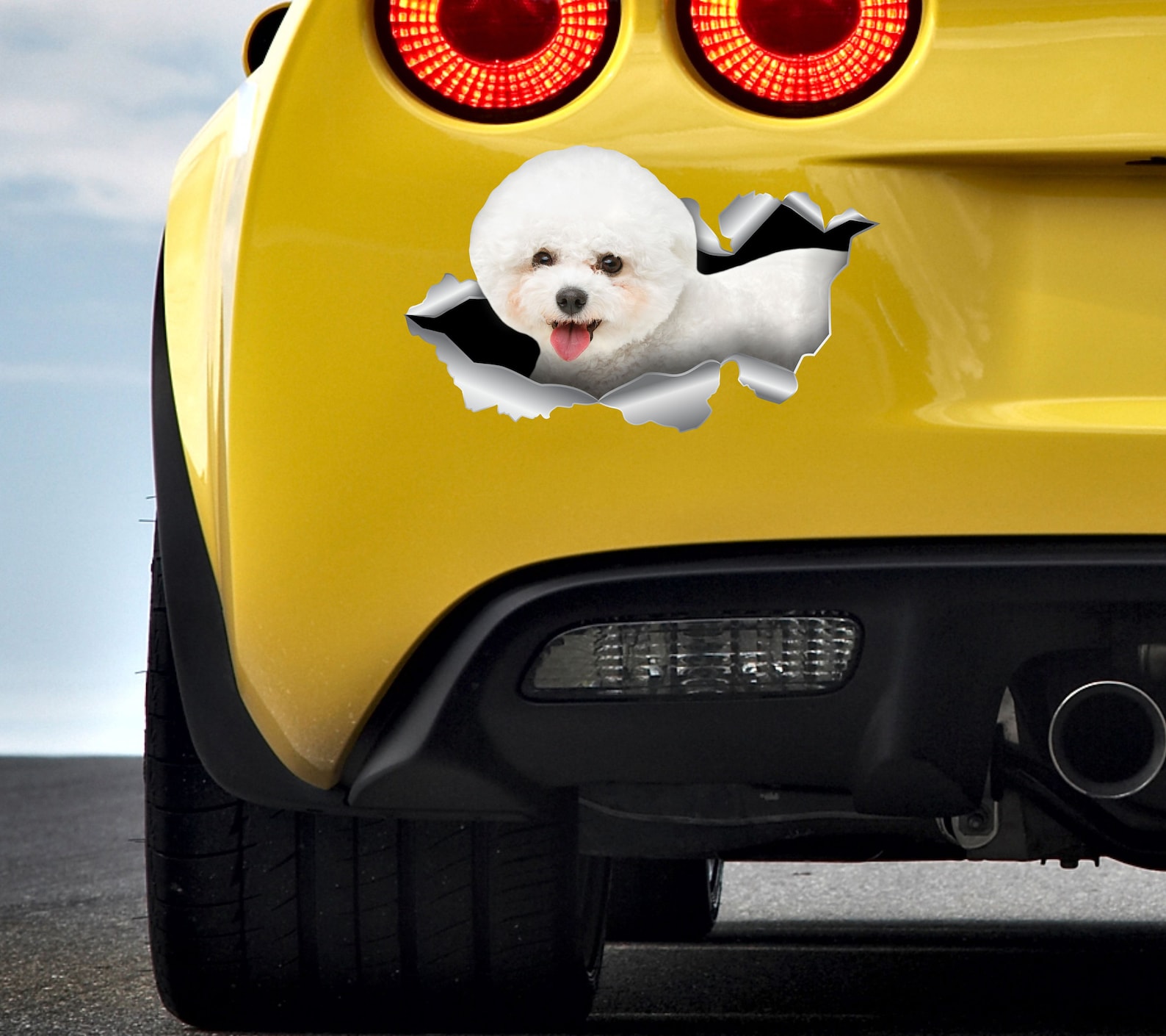 Bichon Frise Bichon frise car Sticker pet Decal Bichon frise Etsy