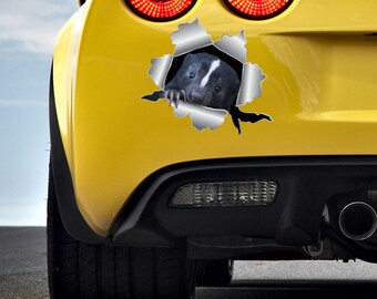Op de afbeelding: Een gele auto met een zwart-witte sticker van een stinkdier dat uit een gescheurd gat kijkt. De sticker zit op de achterbumper van de auto.