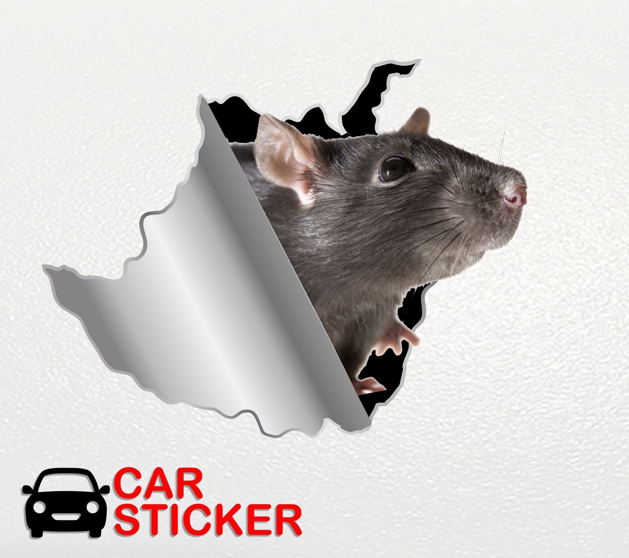 Rat Sticker Car Sticker Mouse Sticker Vinyl Sticker Pet Rat Decals Rat ...