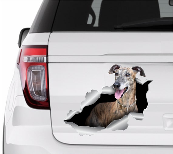 Brindle Whippet Sticker Brindle Whippet Auto Aufkleber Whippet
