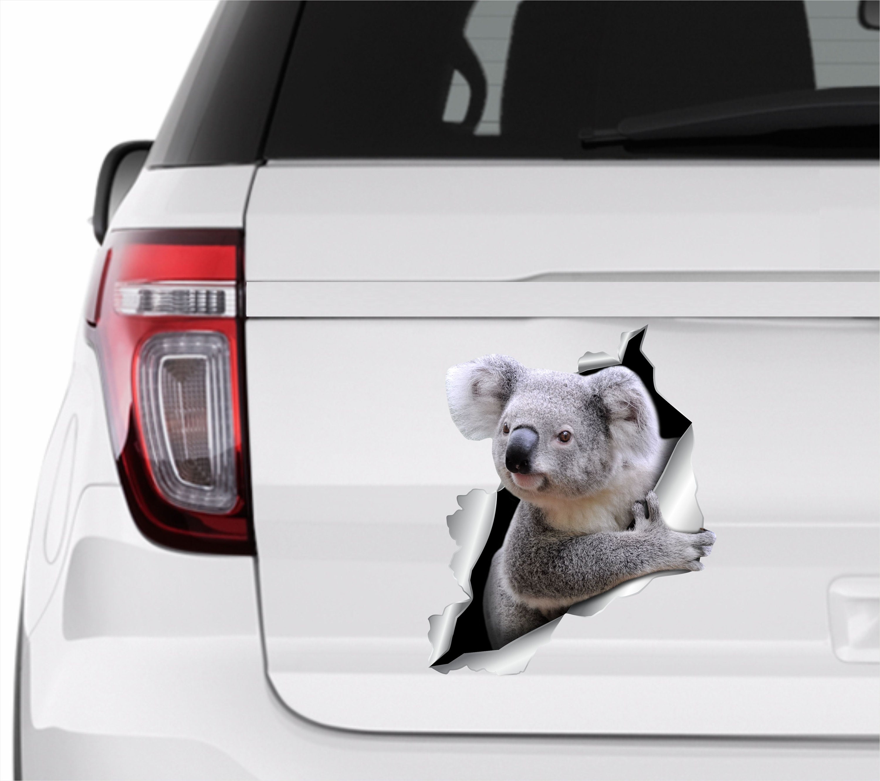 Car sticker Koala car decal Animals sticker Koala decal Koala Etsy