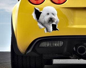 Goldendoodle decal White Goldendoodle Car decal 3D sticker Pet decal Dog decal Goldendoodle auto Pet stickers Bumper print Car sticker 240