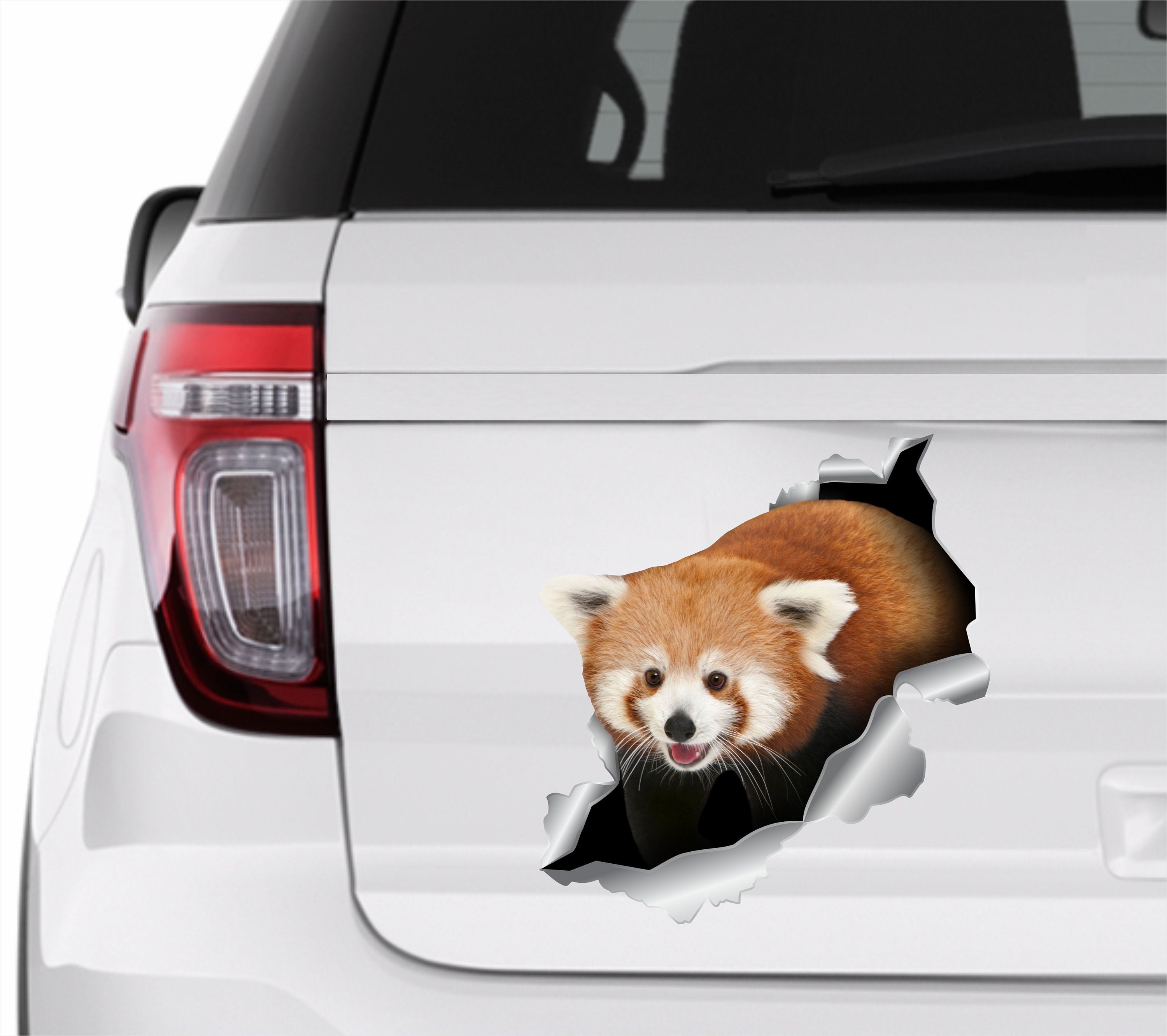 Stickers For Everyone Black Cat Hiss Off Sticker Realistic Wall Decal For Car Truck