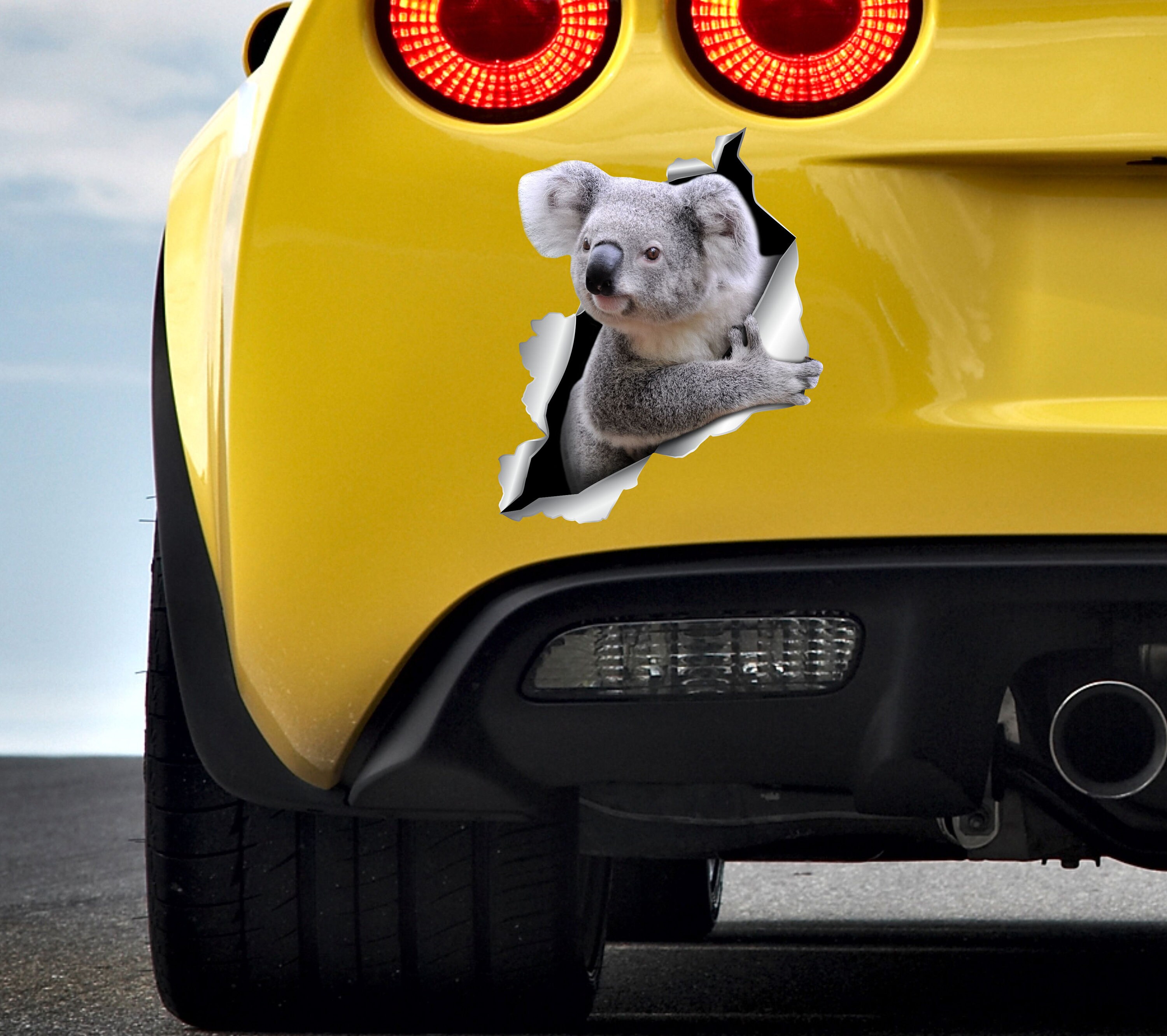 Car sticker Koala car decal Animals sticker Koala decal Koala Etsy