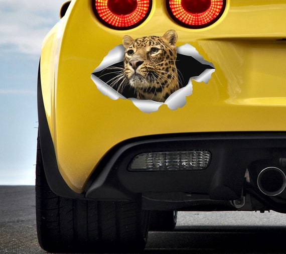 Leopard on sale car decal