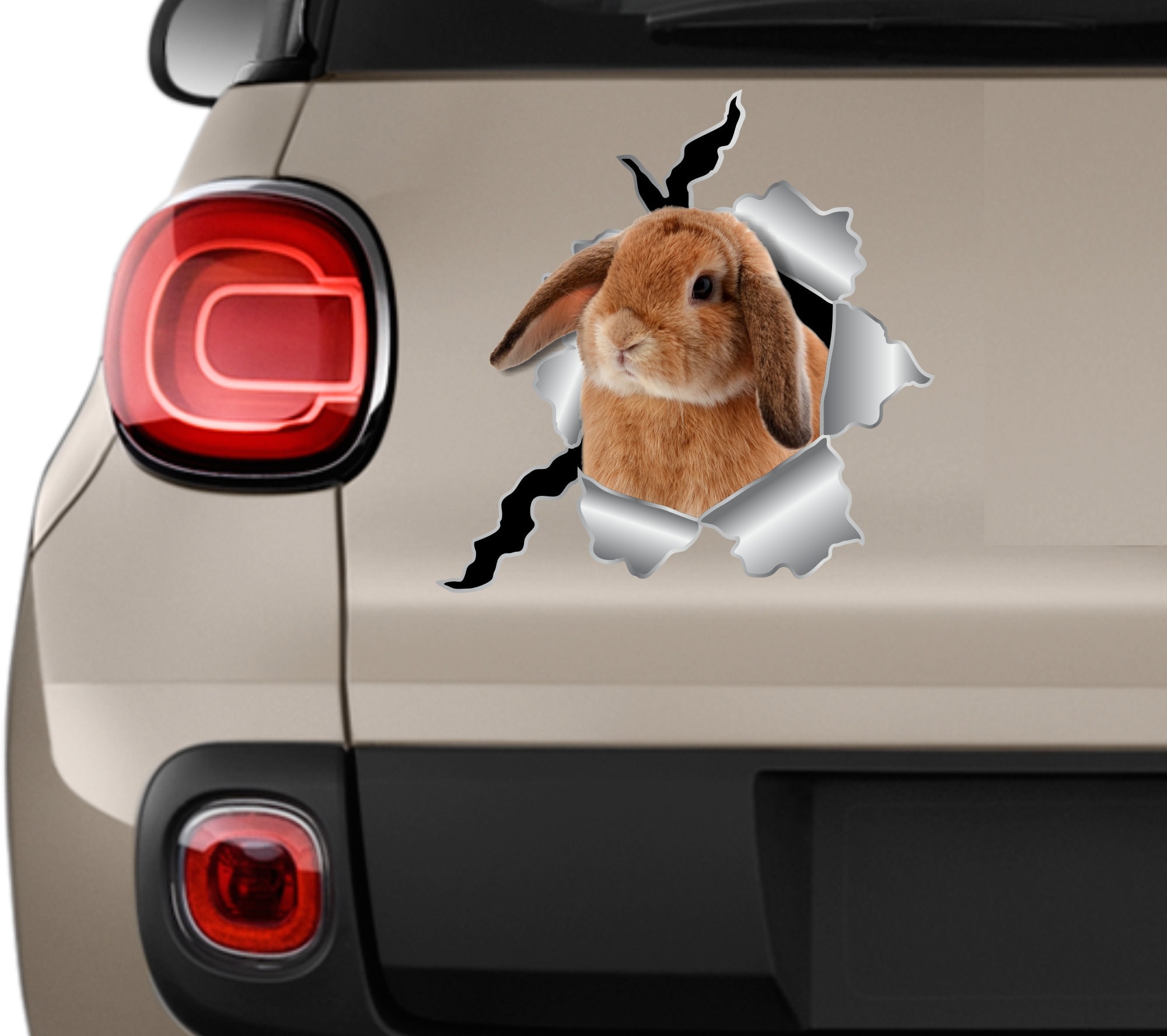 Bunnies In A Car