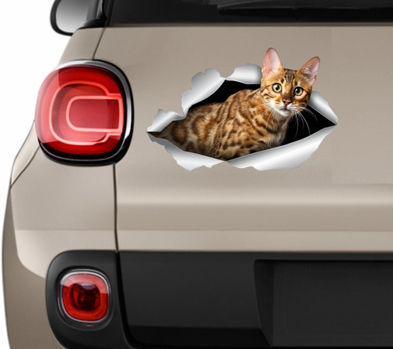 Cat 2024 car decals