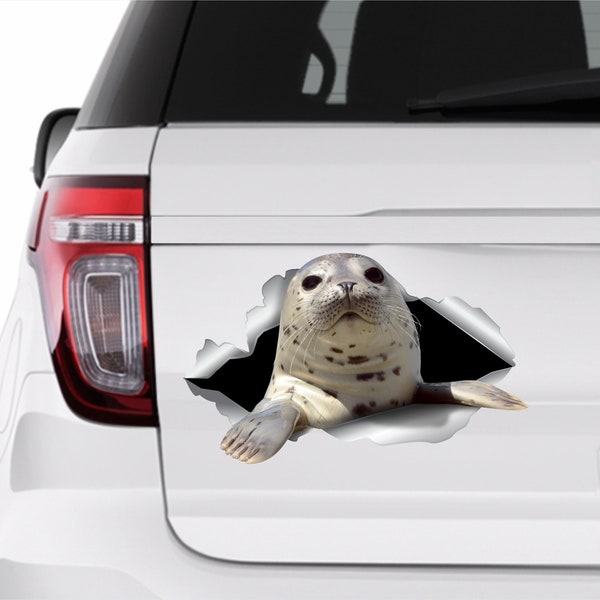 Harbor Seal Harbor sticker Car sticker Harbor decal Car decorations Harbor Seal decal Harbor Seal sticker Auto sticker 315