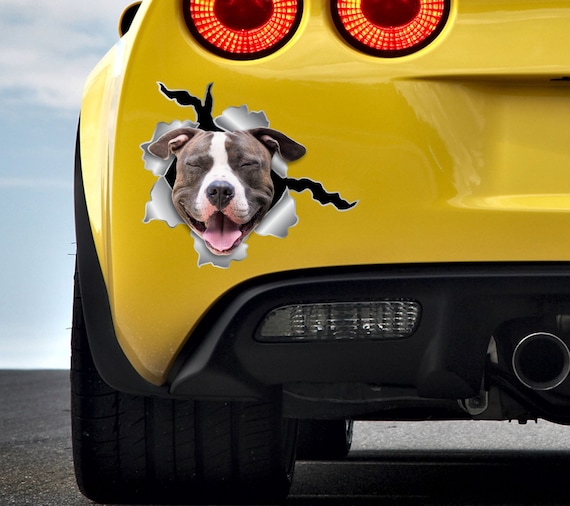 vrouw ophouden Graag gedaan Buy Auto Sticker Dog Sticker Car Sticker Pitt Bull Stickers Online in India  - Etsy