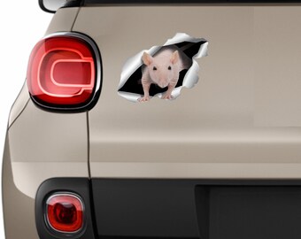 Hairless Rat stickes Hairless sticker Car Rat stickers Hairless decal Wild animals auto Rat sticker Hairless art Rat 3d sticker 382