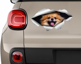 Pomeranian Dog decal Dog stickers Pomeranian stickers Сar sticker Vinyl decal Pet sticker Pomeranian car decal Animals sticker Car decal 286