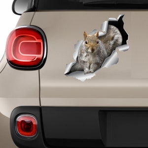 Squirrel sticker Squirrel car sticker Funny car decal Squirrel car decal Vinyl decal Car decoration Animal decal Bumper art Car sticker 244