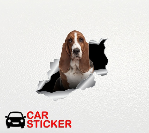 Auto Zubehör Basset Hund Haustier Aufkleber Auto Dekor Basset Hound Sticker  Hund Aufkleber 3D Aufkleber Auto Aufkleber Hund Aufkleber Hund Geschenk  lustig 221 - .de