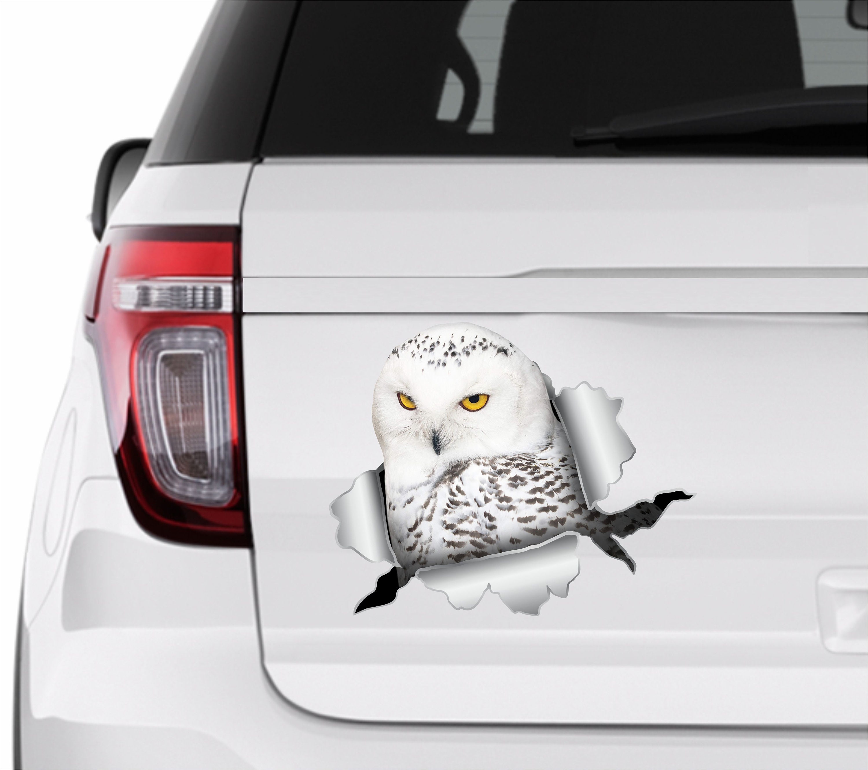 White Owl Decal Owl Car Sticker Owl Car White Owl Sticker Etsy