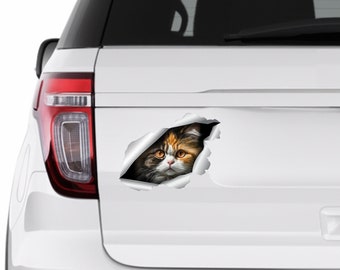 Persian cat Stickers car Tricolor Persian cat stickers Decal 3D stickers Bumper car art Vinyl sticker Cute cat Tricolor Persian Cat mom 384