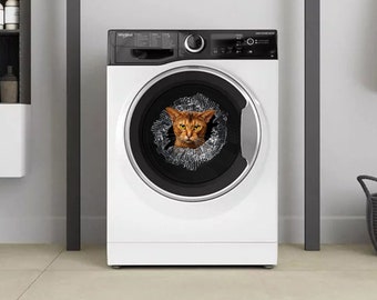 Broken window Abyssinian cat Abyssinian cat glass Car sticker Car decal Abyssinian cat sticker Cat car sticker Cat magnet Funny sticker 370