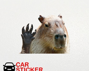 Capybara hello Capybara Car sticker Capybara paws sticker Car decorations Capybara art stickers Funny sticker Capybara auto sticker 349