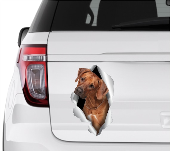 Rhodesian Ridgeback Car Sticker Rhodesian Ridgeback Sticker Dog