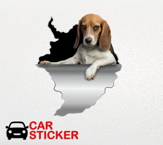 Hund Aufkleber Auto Deko Auto Aufkleber Beagle Aufkleber Beagle  Fensteraufkleber Beagle Dekor Auto sticker Beagle Mom Hund Sticker 114 -  .de