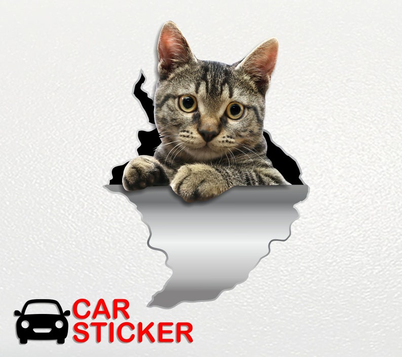 Car stickers Cat art Cat stickers 3D stickers Bumper car art Vinyl sticker Cute cat stickers Funny cat Grey cat decor Animals car Cat mom 35 image 2