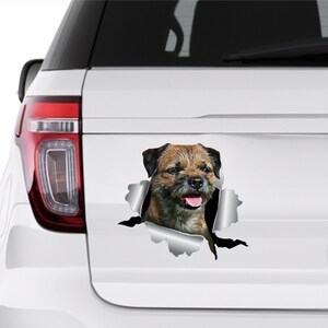 Hundklistermärken Border terrier Hundklistermärken Gränsklistermärke Bilklistermärke Vinylklistermärke Husdjursklistermärke Border terrier Djurklistermärke Bilklistermärke 359