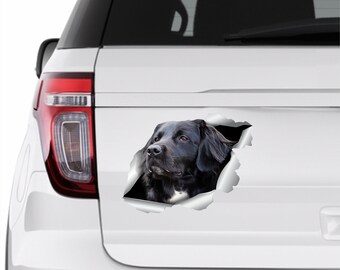 Stabyhoun stickers Car sticker Stabyhoun dog Dog sticker Bumper sticker Vinyl stickers Stabyhoun decal Windows stickers 357