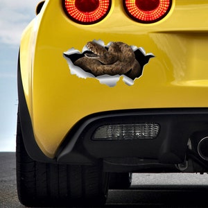 May include: A yellow car with a snake decal on the back bumper. The decal shows a snake peeking out of a ripped hole in the car's paint.