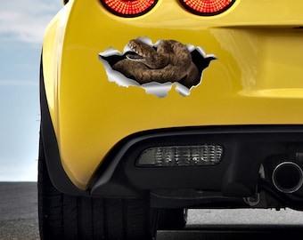 Adesivo serpente Adesivo per auto Adesivo serpente a sonagli Adesivo Tigre pitone Adesivo per auto Adesivo per auto Adesivo per auto Adesivo per rettili Decalcomania per auto Decorazione per auto 3D 168