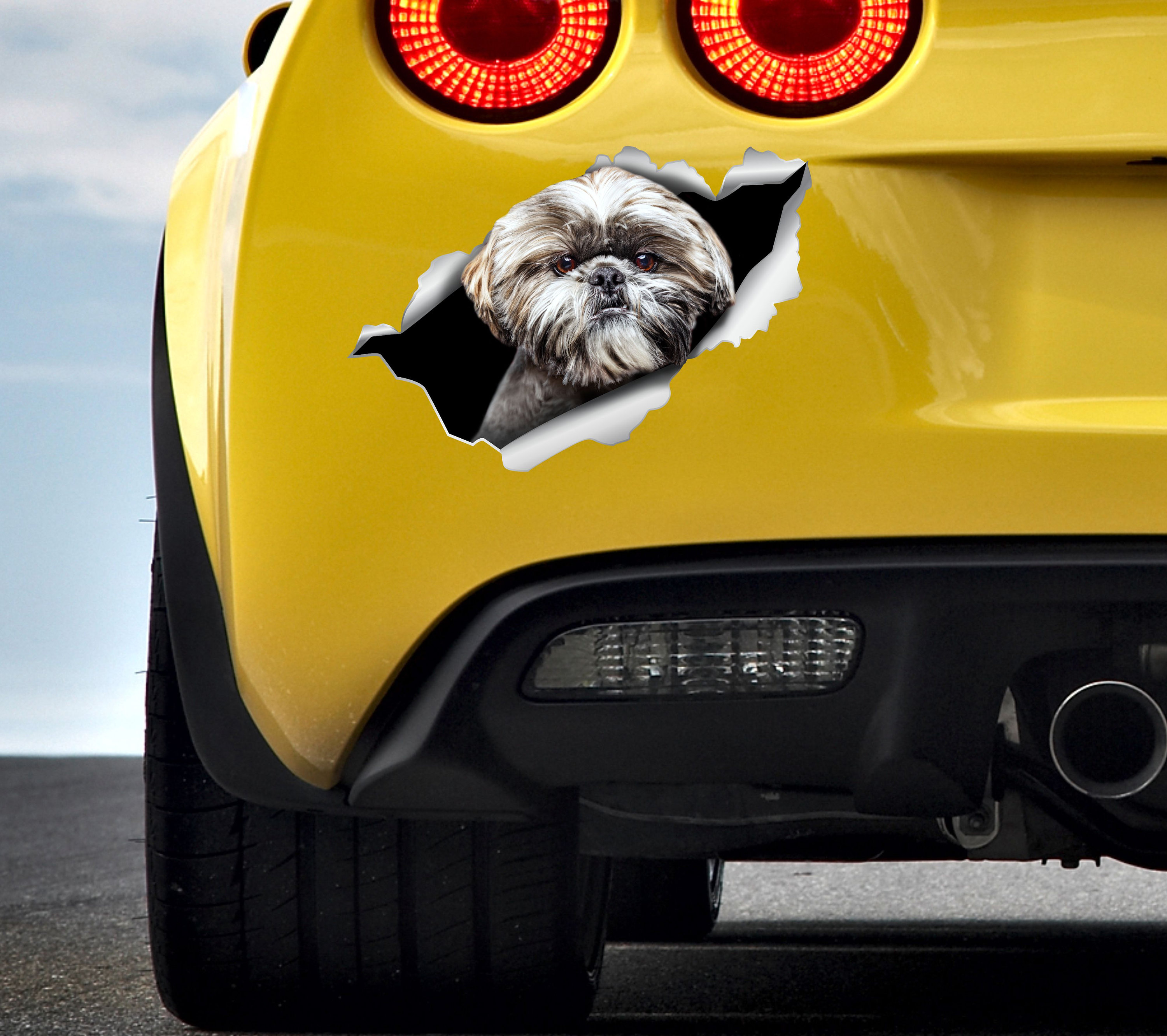 Autocollant De Voiture Shih Tzu Autocollant 15 Cm (5,9 Pouces
