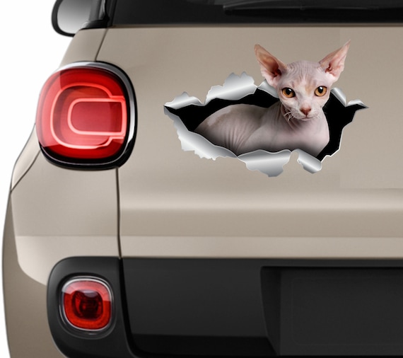 Cat Bumper Stickers, Pets