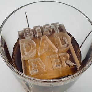 Best Dad Ever Ice Trays and Molds - Show Dad how he ranks this Fathers Day