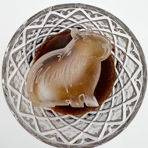 Capybara Ice Molds and Trays -  Perfect gift for the supersized rodent loving friend