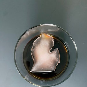 Michigan Ice Cube Tray: State Shaped Silicone Mold