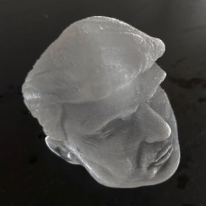 Trump Ice Cube Mold: Presidential Caricature, Large 2.3 inch