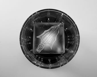 Custom Sports Team Ice Tray: Mascot Ice Cubes