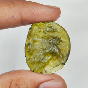 May include: A translucent, olive-green tektite with an irregular, rounded shape and a textured, pitted surface. The stone displays variations in color intensity, ranging from light yellow-green to deeper forest green tones across its surface.