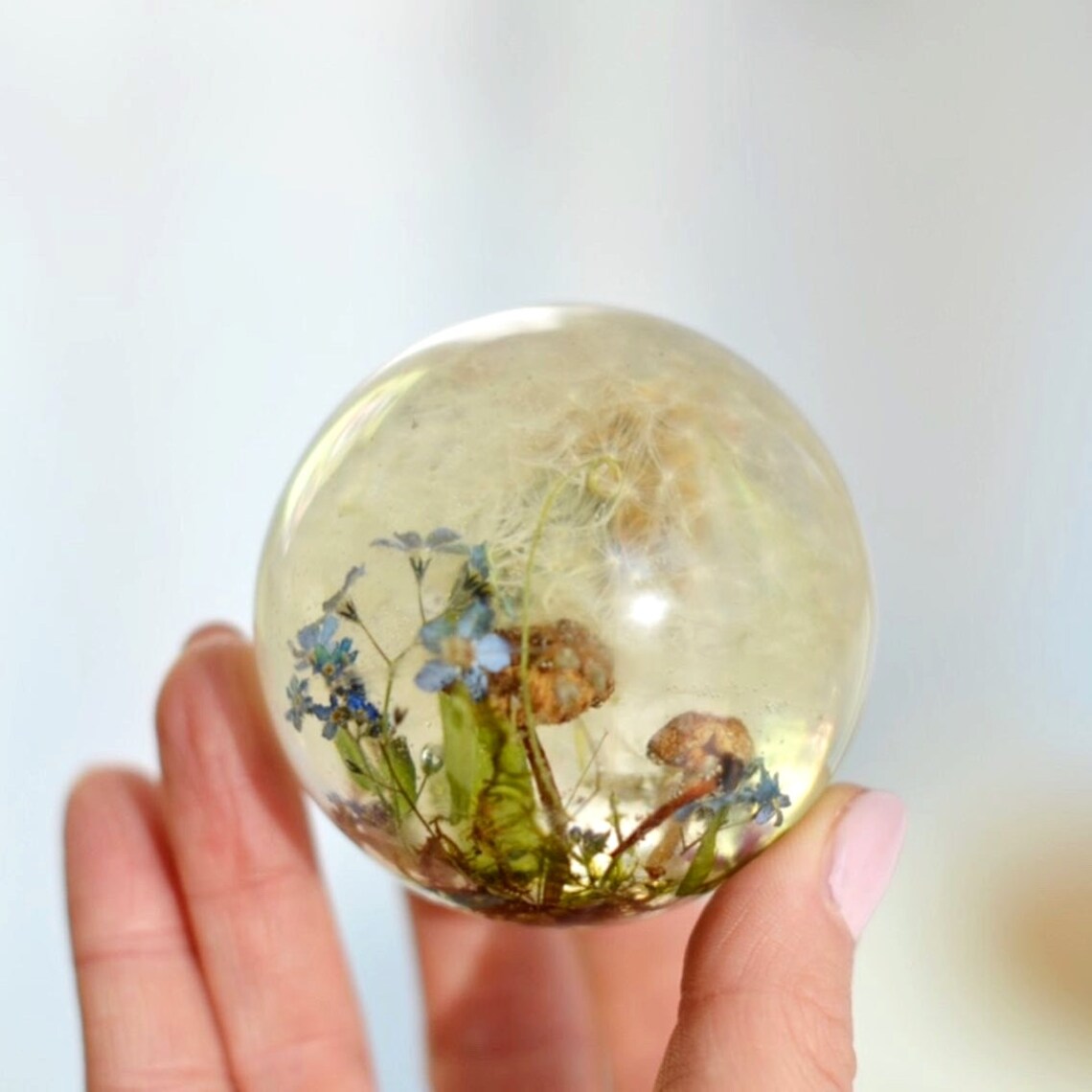 Resin Sphere Sculpture With Pressed Flowers and Mushrooms Etsy