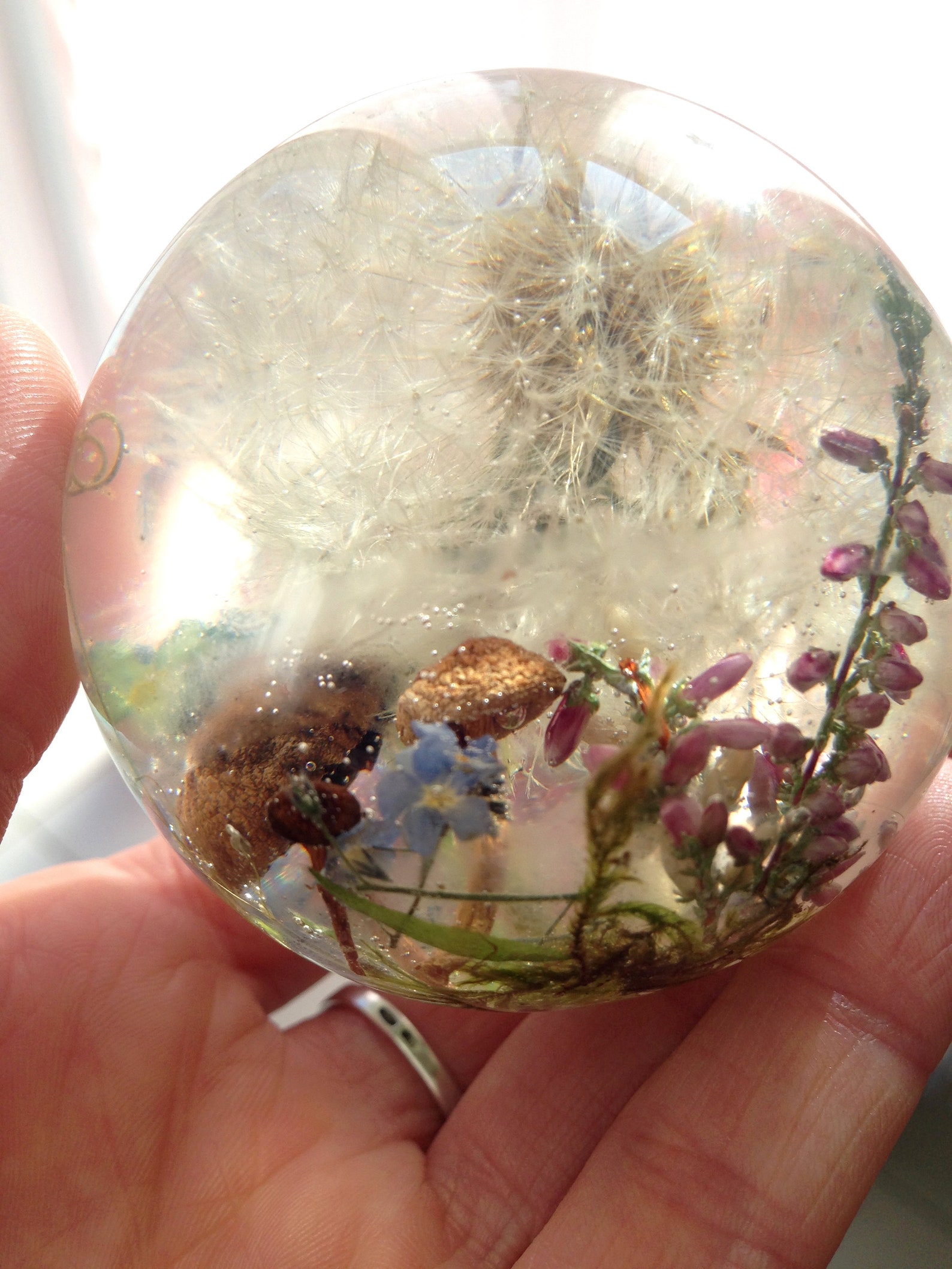 Resin Sphere Sculpture With Pressed Flowers and Mushrooms Etsy