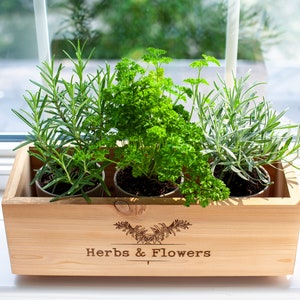 Cederhouten plantenbak voor kruiden, gepersonaliseerde houten plantenbak, houten plantenbak voor binnen, handgemaakte plantenbak voor bloemen, kruiden en vetplanten
