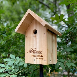 Handcrafted Cedar Chickadee Birdhouse Kit, Easy Clean
