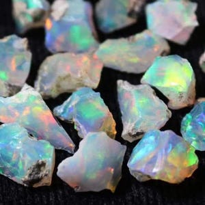 May include: A collection of raw, translucent opal stones featuring a milky white base with vibrant flashes of iridescent green, blue, and orange light. These irregular, jagged mineral fragments display a natural play of color across their surfaces.