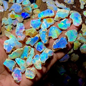 Könnte beinhalten: Eine Sammlung roher Opal-Edelsteine, die ein Farbspektrum aus Blau-, Grün- und schillernden Lichtblitzen zeigen. Die grob geschnittenen Steine variieren in Größe und Form und haben ein natürliches, unpoliertes Aussehen. Die Opale werden in einer Hand gehalten.