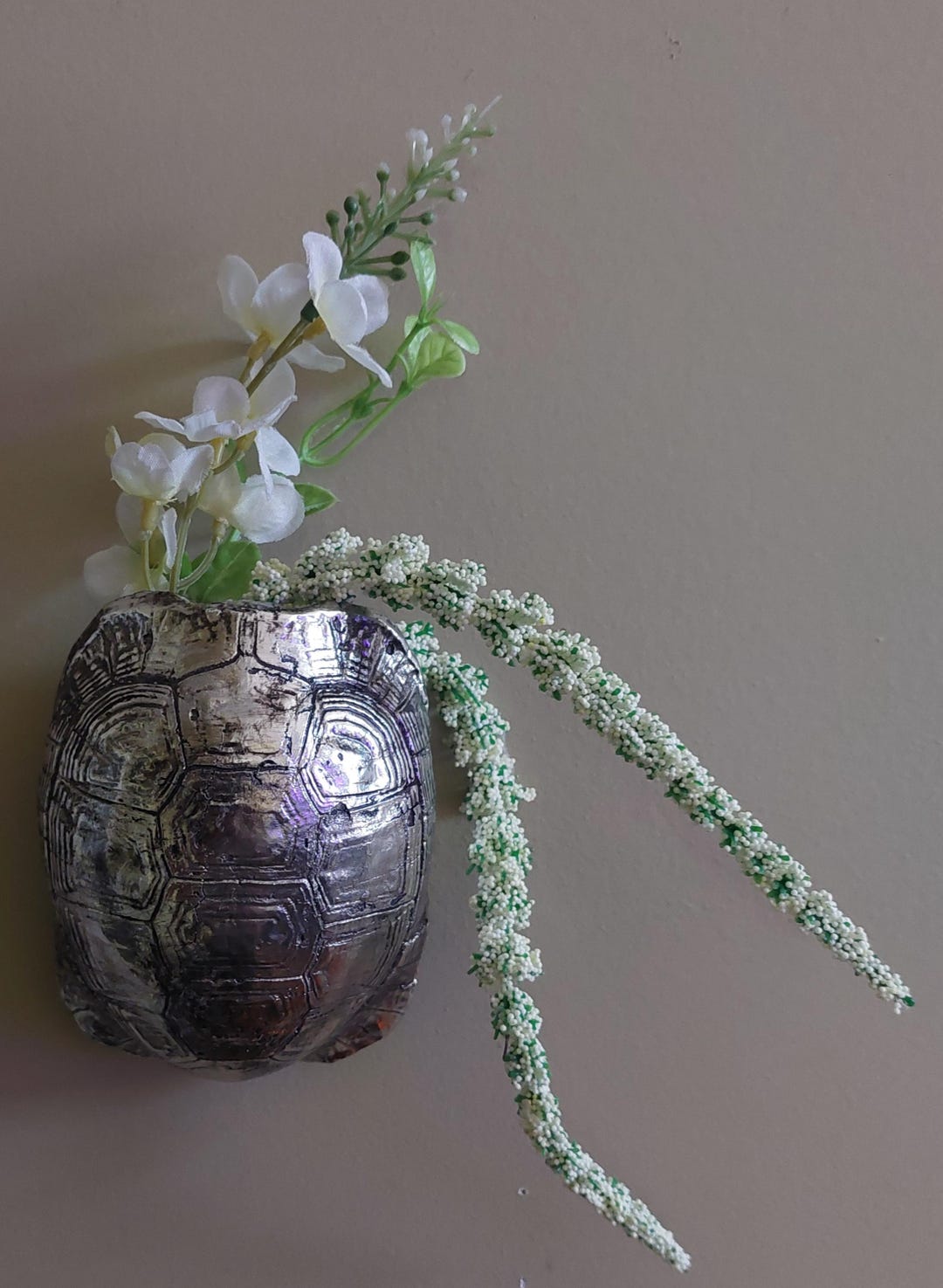 Turtle Shell Wall Silver Turtle Shell Wall Decor - Etsy