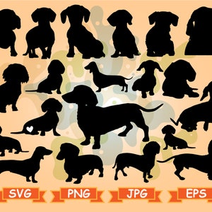 Dachshund SVG Dachshund Silhouette SVG Cut Files Dachshund Bundle SVG Dachshund Clipart Dachshund vector Svg Png Jpg dachshund cricut svg